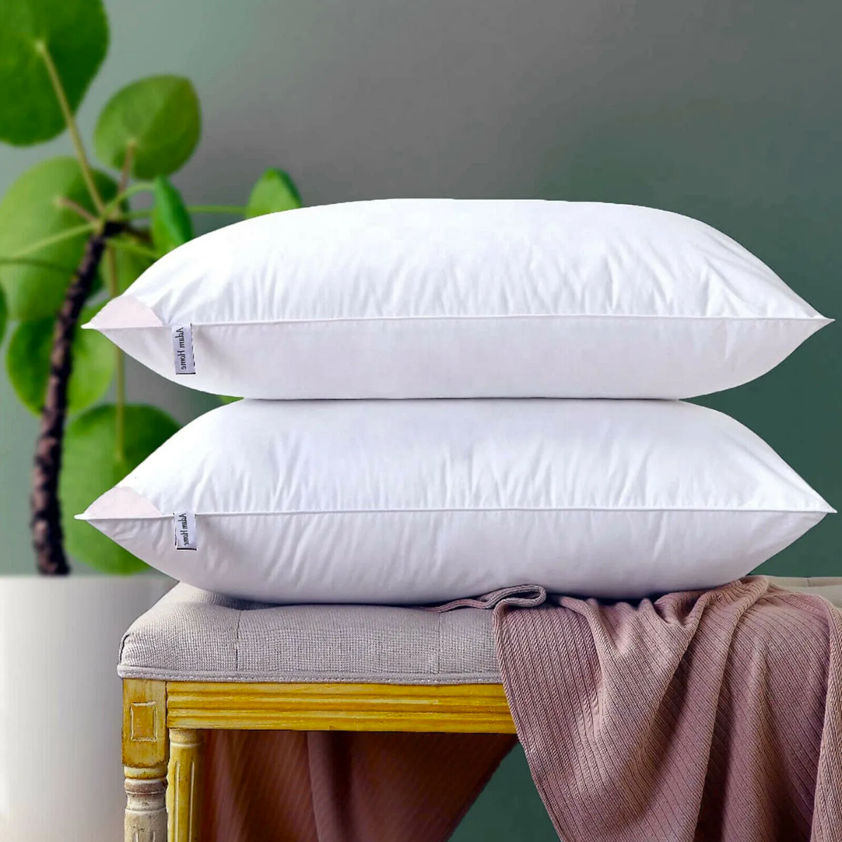 Extra Large Pillow (1 pc)