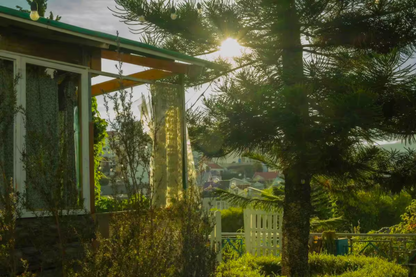 Rustic Hillside Chalet in Da Lat Sunset Views