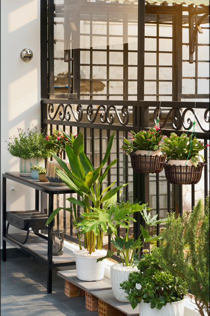 Cosy Country Home Da Lat Homestay Villa