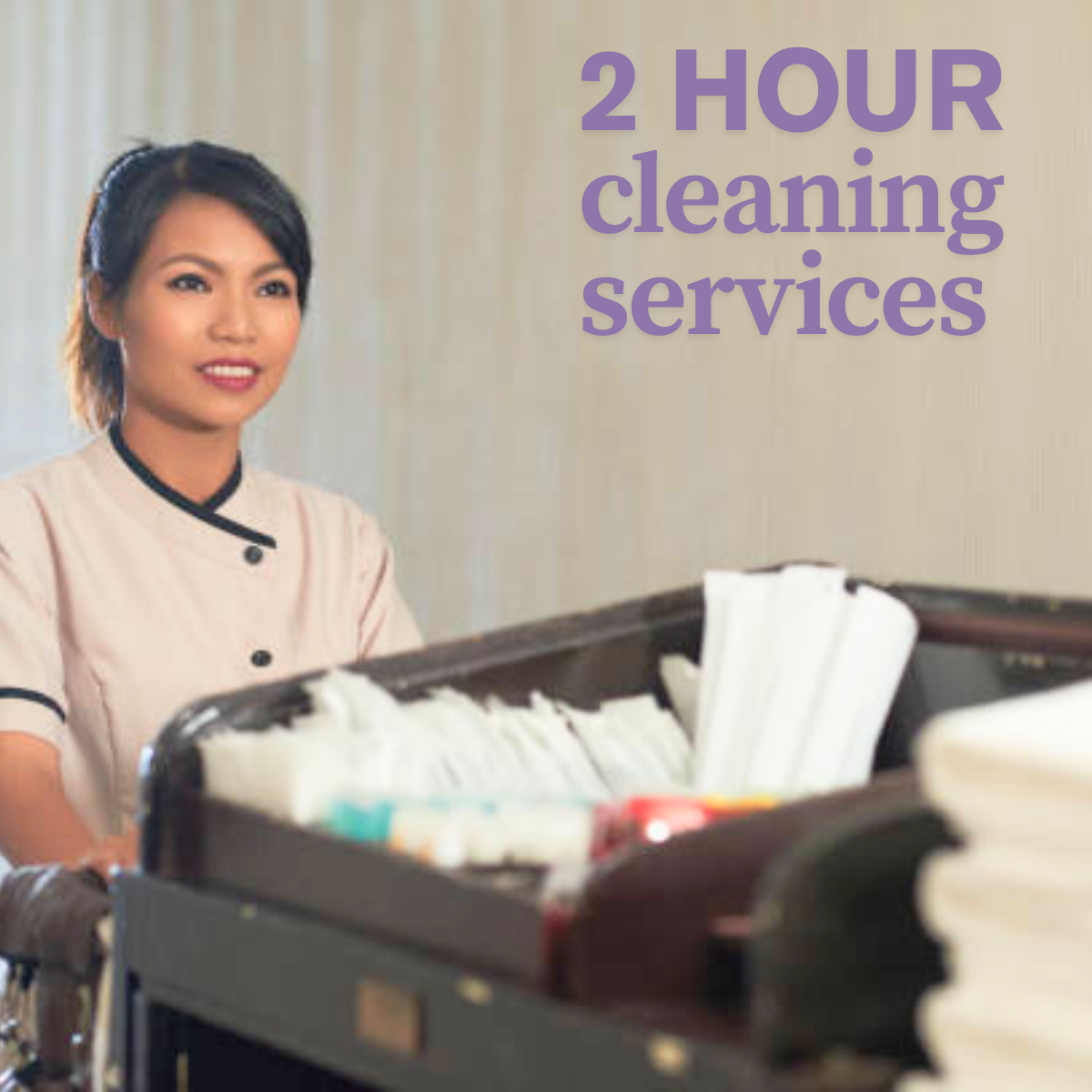 Daily House Cleaning