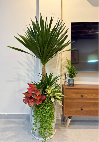 LYLAC Home Saigon COQ - Country Modern Cosy 5 Bed Townhouse City Center D1