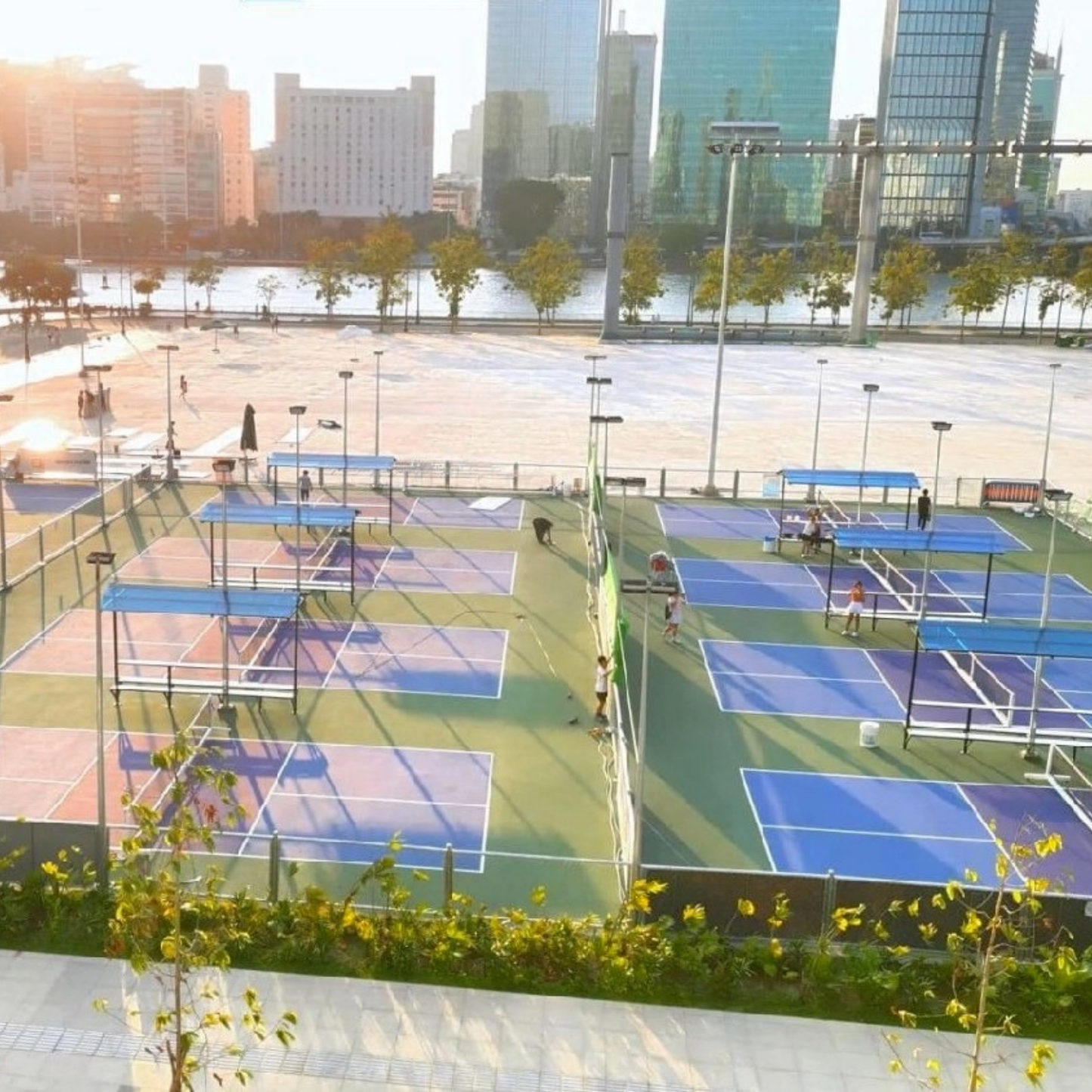 Pickleball Workshop 1 Hour with Experienced Coach at Beautiful Court